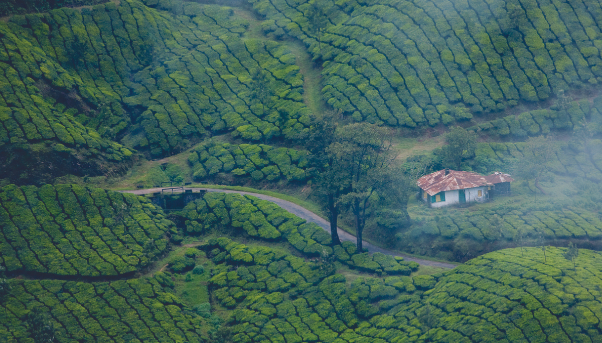 Majestic Palaces of Kerala