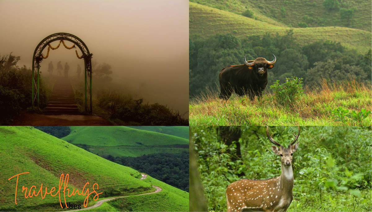 to Chikmagalur this Monsoon