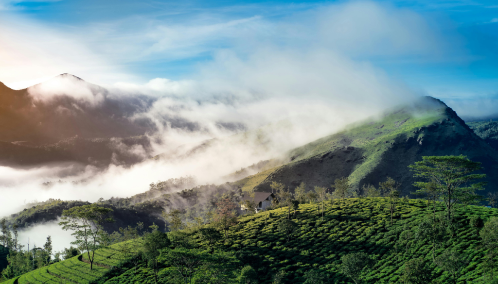 Visit Munnar's Rain-Soaked Hills