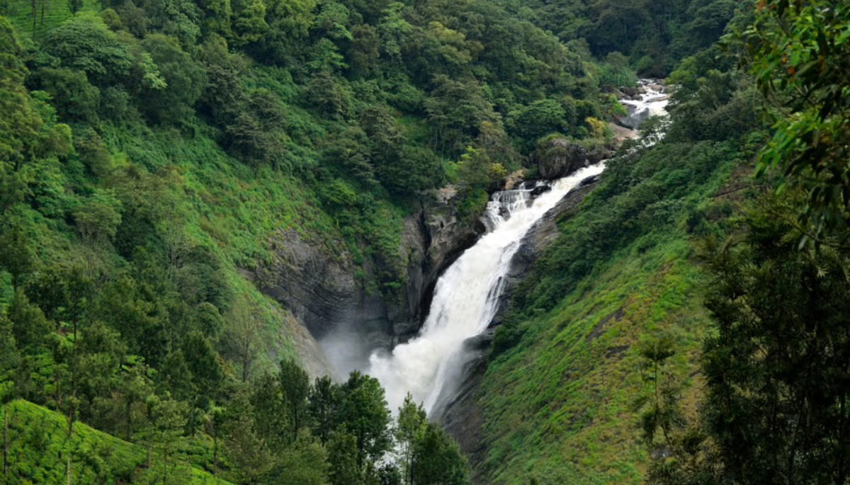 Visit Munnar's Rain-Soaked Hills